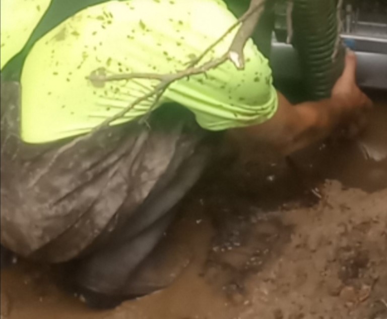 A person is using a hose to water the lawn.