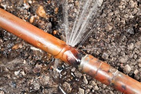 A person is using a hose to water the lawn.